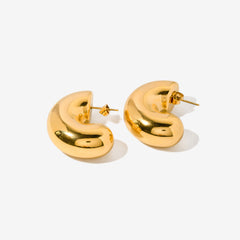 Twisted U Earrings